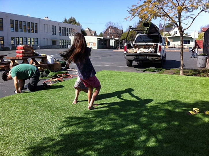 Fake Turf Murrieta Hot Springs California Lawn Dogs Park