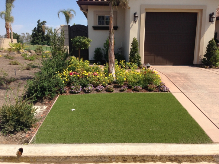 Fake Turf Ocotillo California Landscape Back Yard