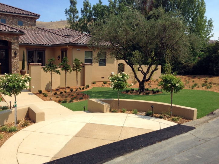 Fake Turf Ocotillo California Lawn Front Yard