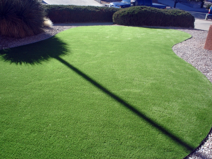 Fake Turf San Clemente California Lawn Front Yard