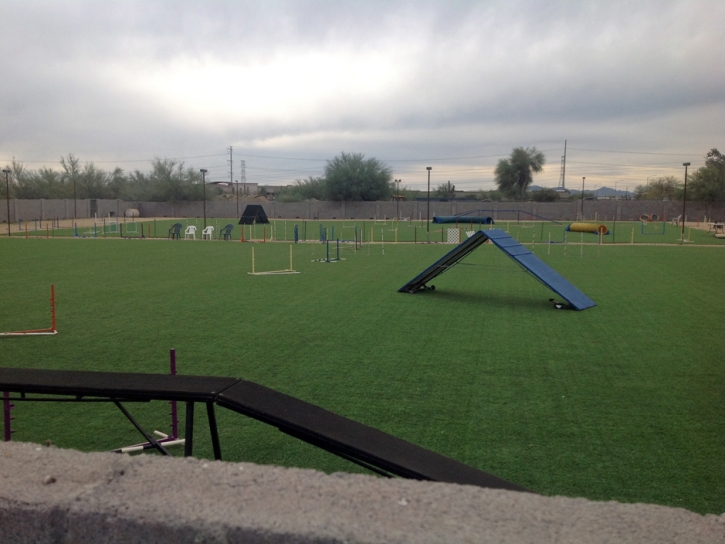 Fake Turf School Stadium Lake Forest California Front Yard