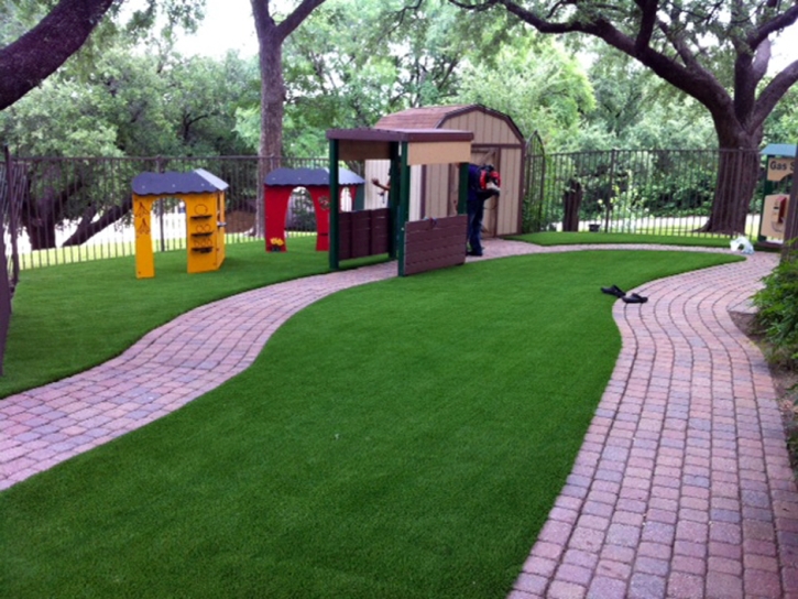 Fake Turf Solana Beach California Landscape Back Yard