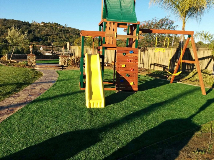 Fake Turf Spring Valley California Playgrounds