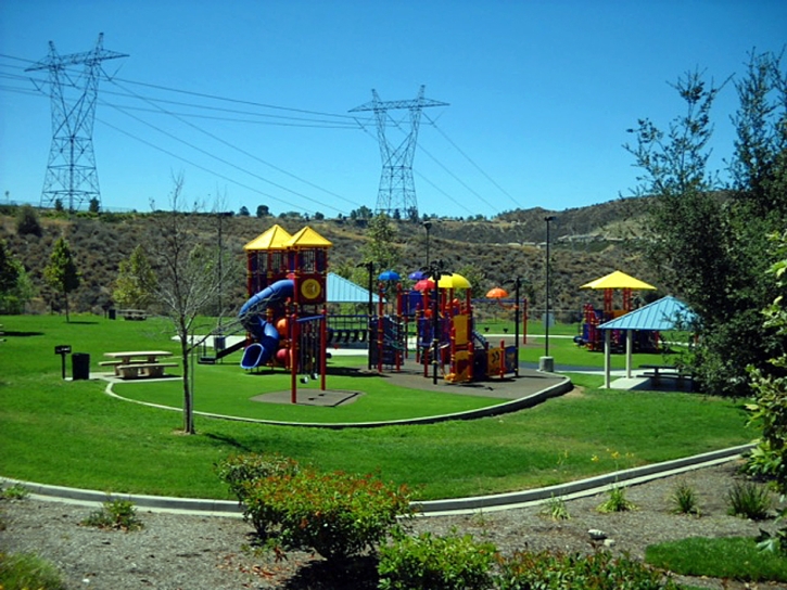 Fake Turf Villa Park California Playgrounds Back Yard