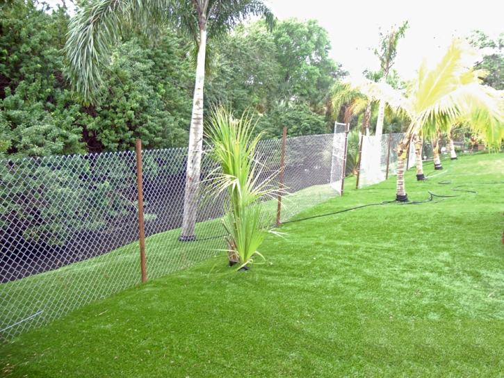 Fake Turf Wildomar California Landscape Back Yard