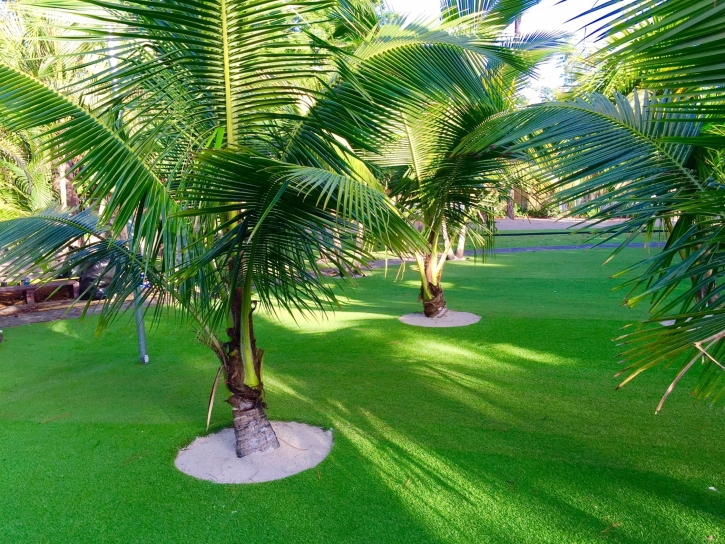 Faux Grass Santee, California Paver Patio, Commercial Landscape