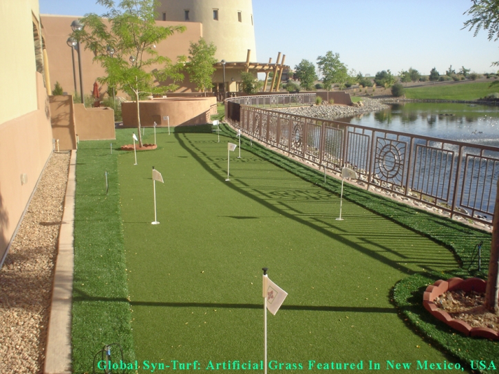 Golf Putting Greens National City California Artificial Turf