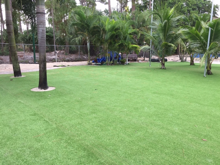 Grass Carpet Encinitas, California Rooftop, Commercial Landscape