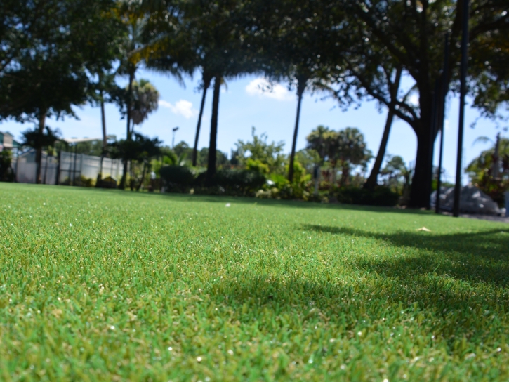 Grass Carpet Rancho San Diego, California Rooftop, Parks