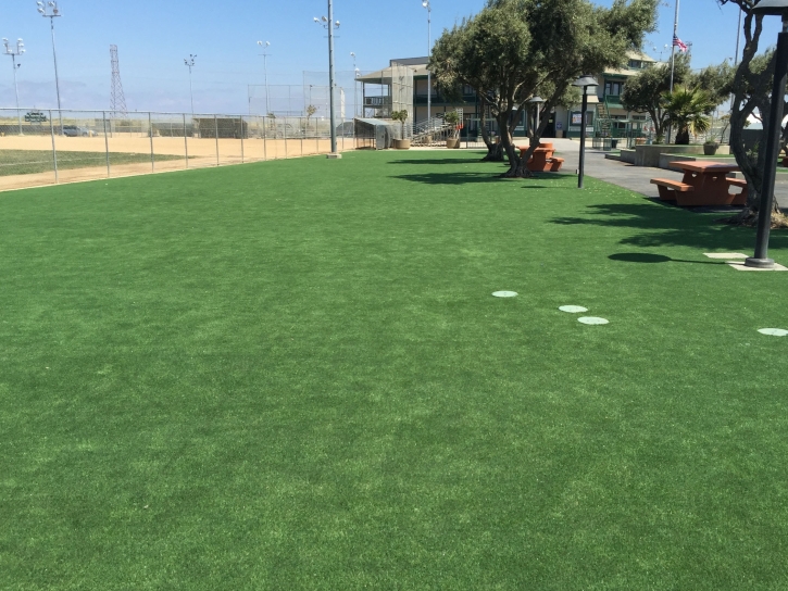 Installing Artificial Grass Bonsall, California Backyard Deck Ideas, Parks