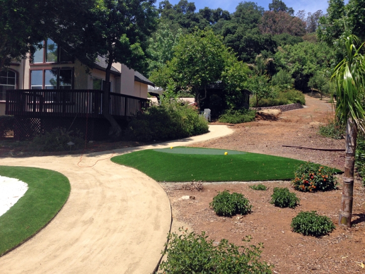 Putting Greens Glen Avon California Artificial Grass Back
