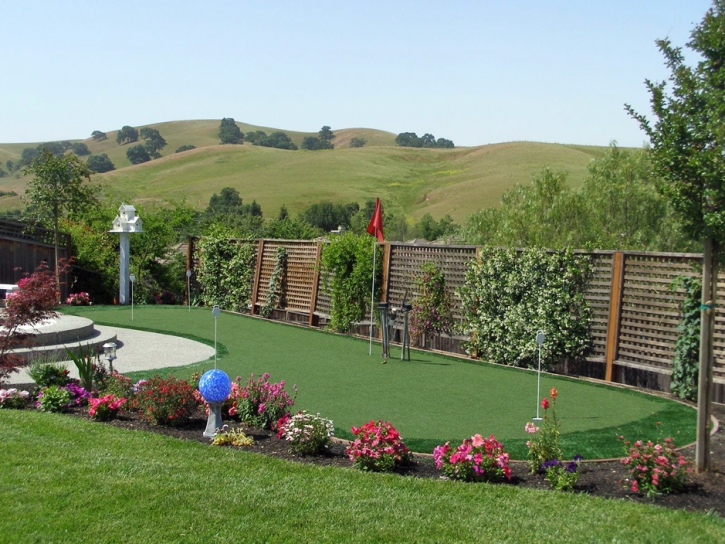 Putting Greens Mira Loma California Fake Grass Pools Back