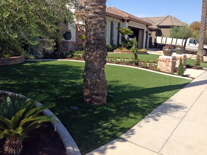 Synthetic Grass Alpine California Landscape Back Yard