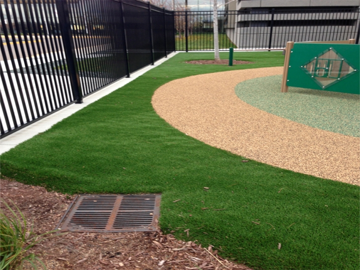 Synthetic Grass Banning California Kids Care Back Yard