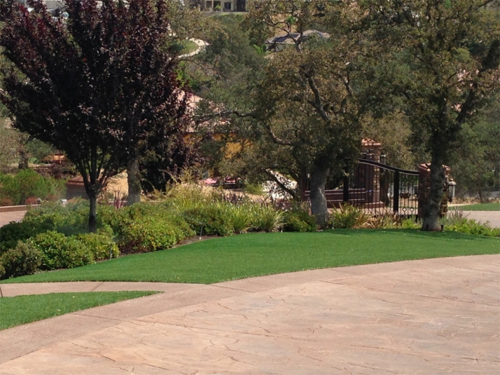 Synthetic Grass Cerritos California Lawn Grass for Dogs