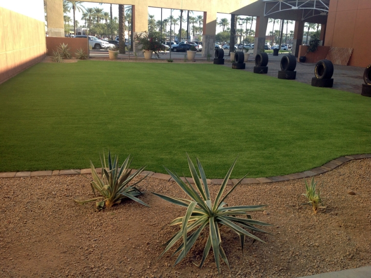Synthetic Grass Costa Mesa California Landscape Front Yard