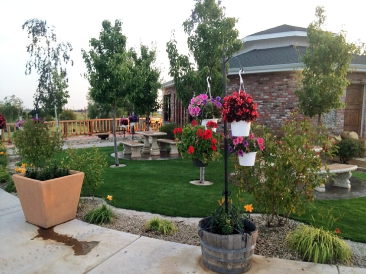 Synthetic Grass Eucalyptus Hills California Lawn Front Yard