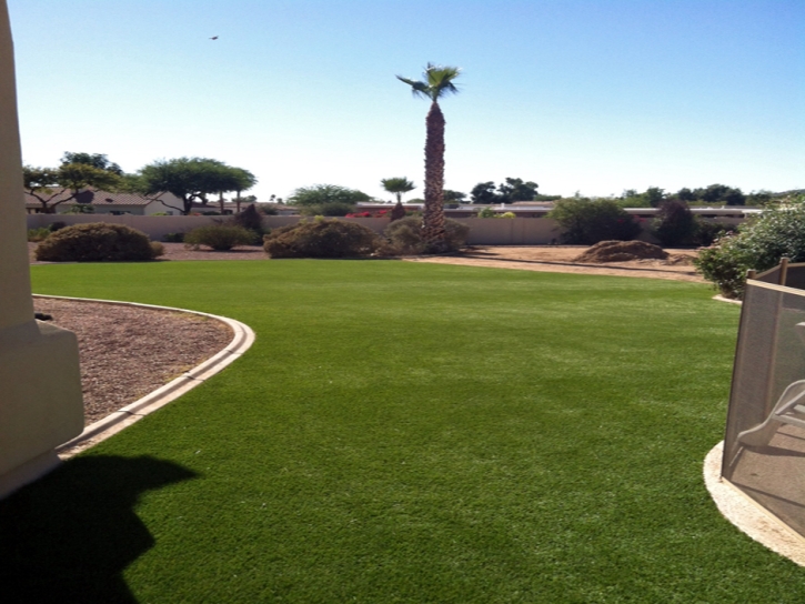 Synthetic Grass Eucalyptus Hills California Landscape Front