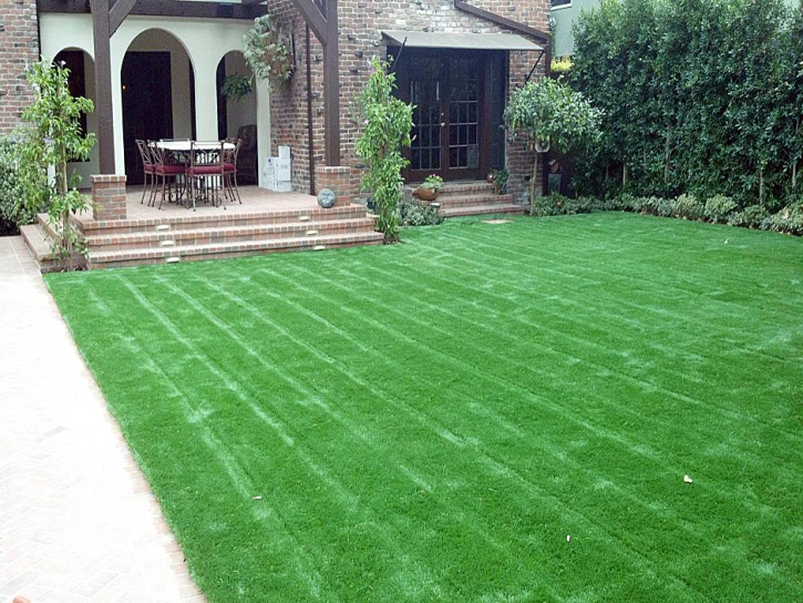 Synthetic Grass Fallbrook California Landscape Back Yard