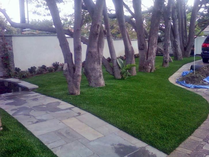Synthetic Grass Foothill Ranch California Lawn