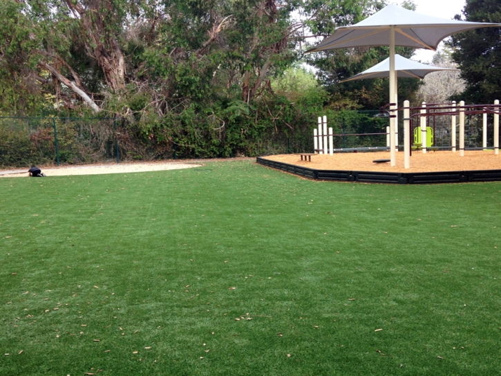 Synthetic Grass Green Acres California Playgrounds Back