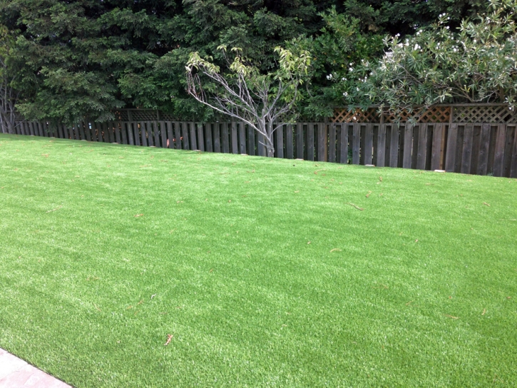 Synthetic Grass Huntington Beach California Lawn Parks