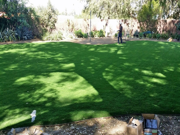 Synthetic Grass Idyllwild California Landscape Pavers Back