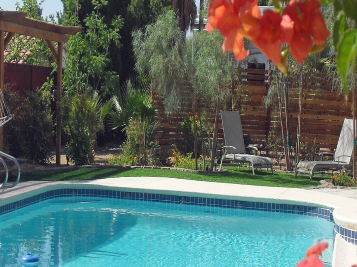 Synthetic Grass Jacumba California Landscape Back Yard