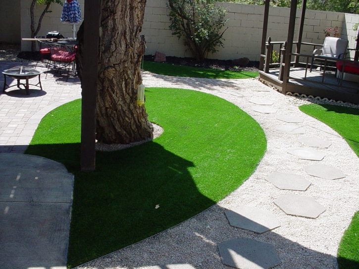 Synthetic Grass Jacumba California Lawn Swimming Pools Back
