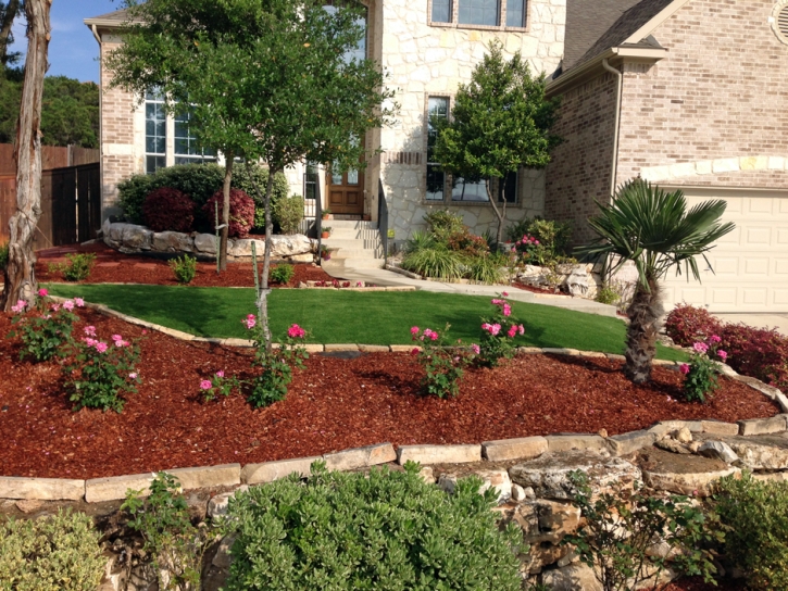 Synthetic Grass Jamul California Lawn Dogs Park Back Yard
