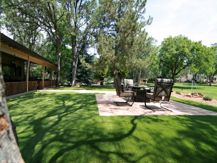 Synthetic Grass Jamul California Lawn Front Yard