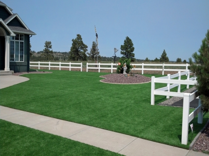 Synthetic Grass Laguna Beach California Landscape Front