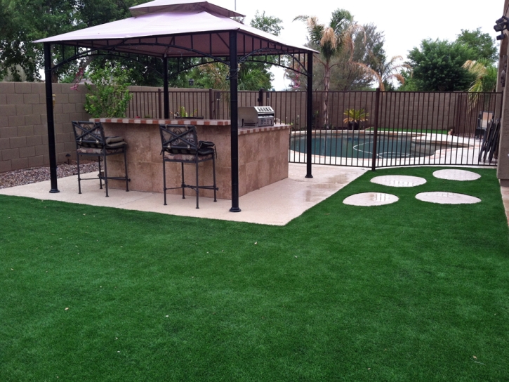 Synthetic Grass Lakeside California Landscape Back Yard