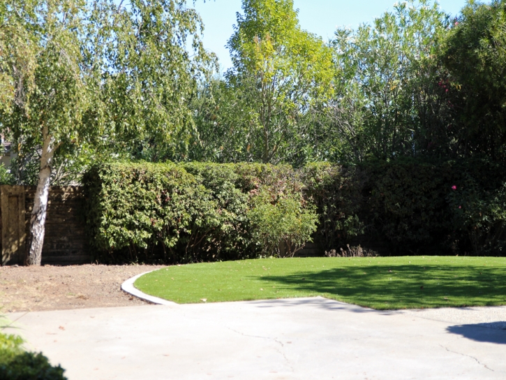 Synthetic Grass Newport Beach California Landscape Front