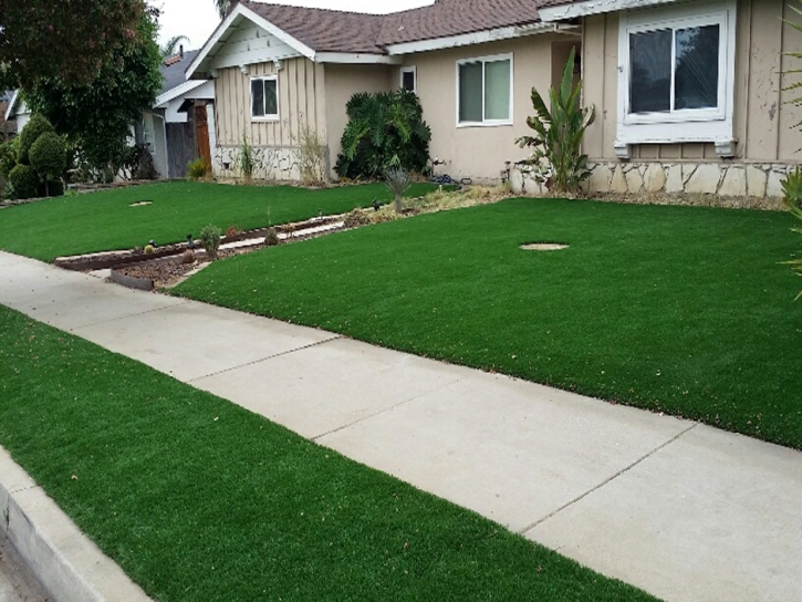 Synthetic Grass Nuevo California Lawn Front Yard
