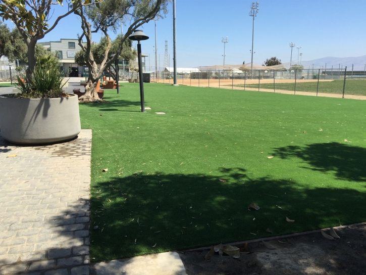Synthetic Grass Oceanside, California Home And Garden, Parks