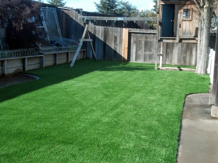 Synthetic Grass Perris California Landscape