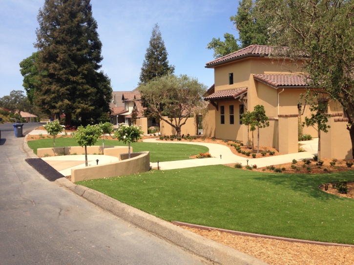 Synthetic Grass Pine Valley California Landscape Back Yard