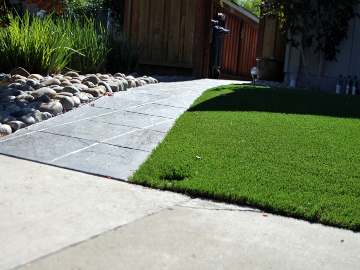 Synthetic Grass Salton Sea Beach California Lawn Back Yard