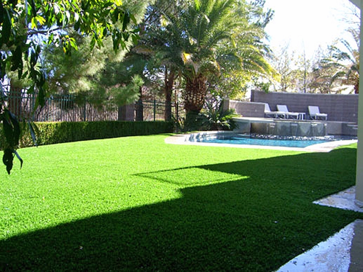 Synthetic Grass San Pedro California Lawn