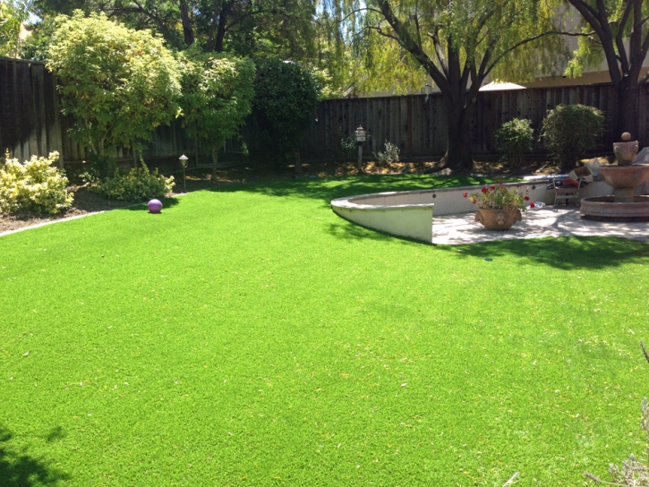Synthetic Grass Solana Beach California Lawn