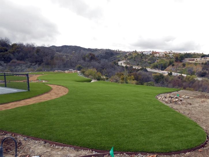 Synthetic Grass Sports Aliso Viejo California Back Yard