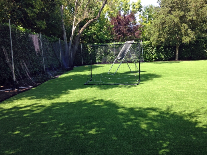 Synthetic Grass Sports Ocotillo California Back Yard