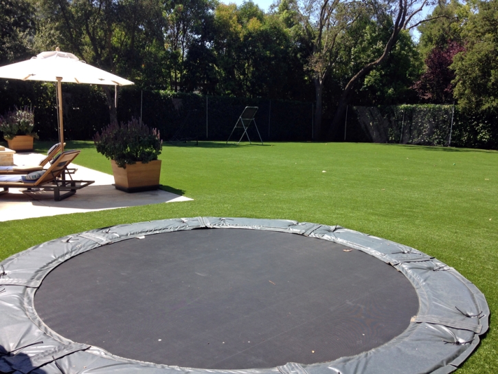 Synthetic Grass Sports Villa Park California Back Yard