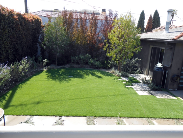 Synthetic Grass Trabuco Canyon California Landscape Back