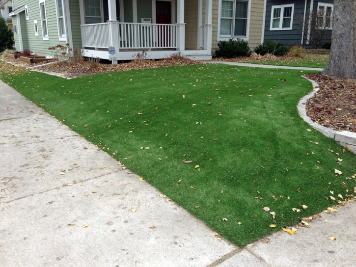 Synthetic Grass Vista Santa Rosa California Lawn Back Yard