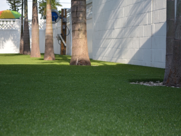 Synthetic Grass Winter Gardens, California Design Ideas, Commercial Landscape