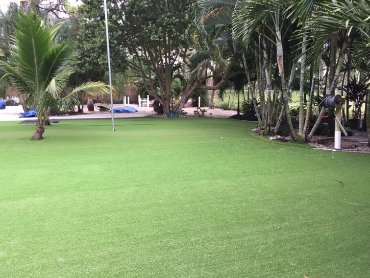 Synthetic Lawn Harbison Canyon, California Landscape Photos, Commercial Landscape