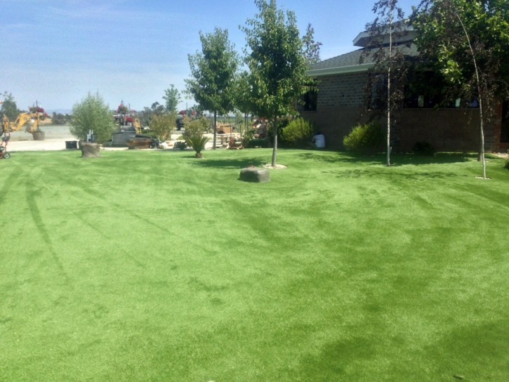 Synthetic Pet Grass Lake San Marcos California for Dogs