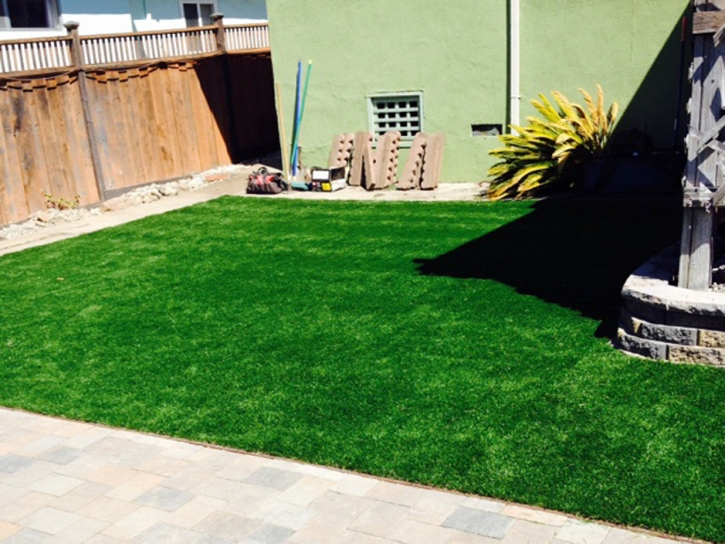 Synthetic Pet Turf Homeland California for Dogs Front Yard